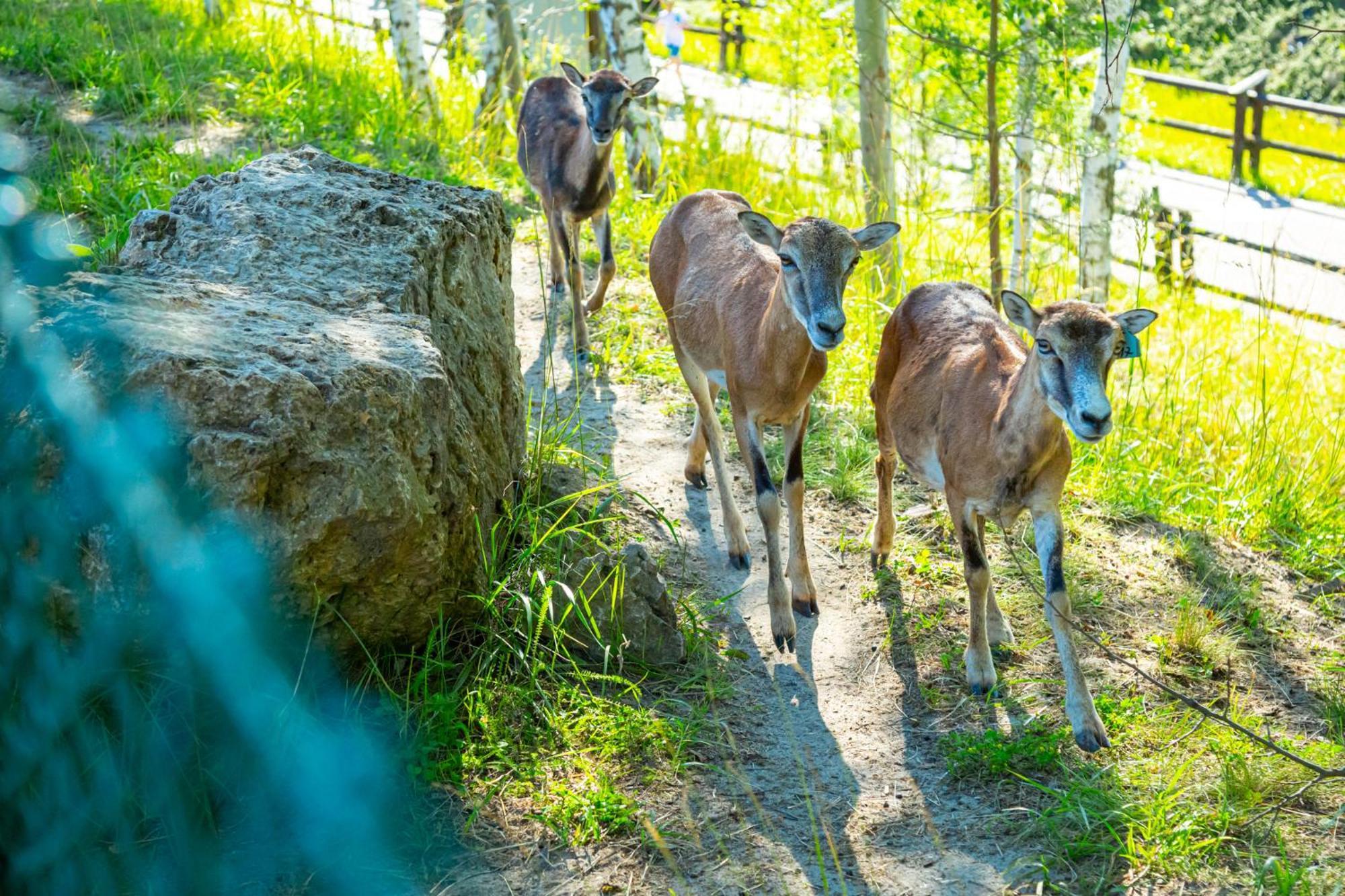 Noclegi Jurapark Krasiejow Extérieur photo